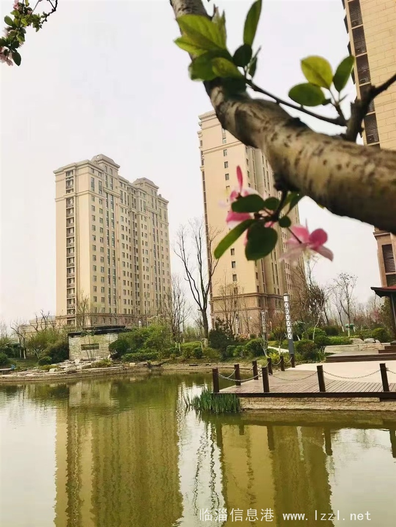 臨淄綠化